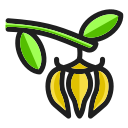 ylang ylang icon