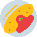 Tortilla icon