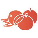 mandarina icon