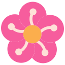 flor del ciruelo icon