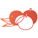 mandarina icon