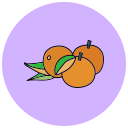 mandarina icon