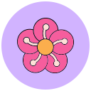 flor del ciruelo icon