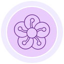 flor del ciruelo icon