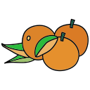 mandarina icon