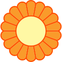 chrysantheme 