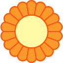 chrysantheme 