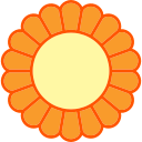 chrysantheme 