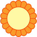 chrysantheme 
