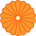 crisântemo 