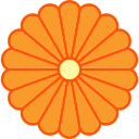 crisântemo 