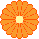 crisântemo 