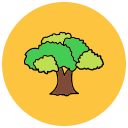 Árbol icon