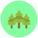 bosque icon