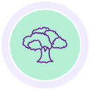 Árbol icon