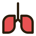 pulmones icon