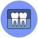 radiografía dental icon