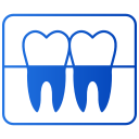 radiografía dental icon