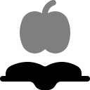 libro de manzana icon