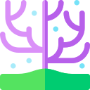 Coral icon