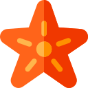 Estrella de mar icon