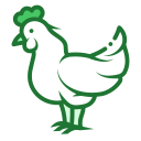 pollo icon