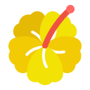 hibisco icon