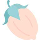 jojoba icon