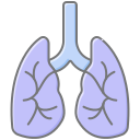 pulmones icon