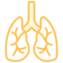 pulmones icon