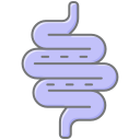 intestino icon