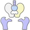 hueso de la pelvis icon