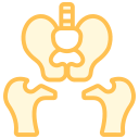 hueso de la pelvis icon