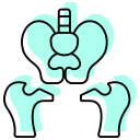 hueso de la pelvis icon