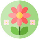 primavera icon