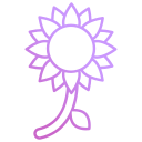 girasol icon