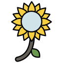 girasol icon