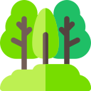 Bosque icon