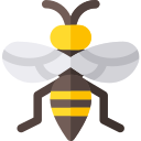 Abeja icon