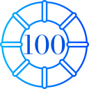 100 icon