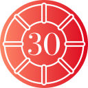 30 icon