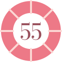 55 icon