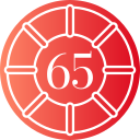 65 icon