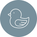 pato icon