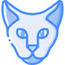 Gato icon