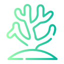 coral icon