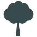 Árbol icon