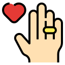 anillo icon