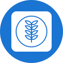 cultivo icon