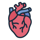 corazón icon